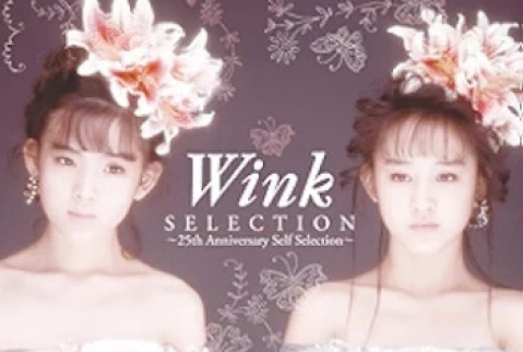 [Album] Wink – Selection ~25th Anniversary Self Selection~ (2013.06.05/Flac/RAR)